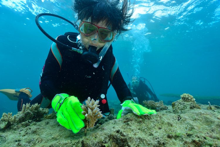 アップロードファイル 14-2.jpg